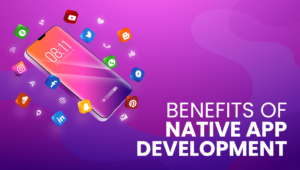 Read more about the article Benefits of Native Mobile App Development